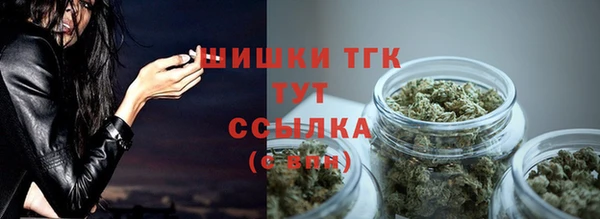 первитин Богданович