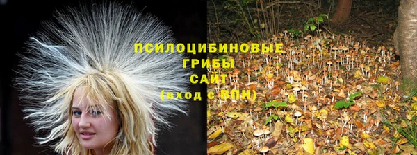 твердый Зеленодольск