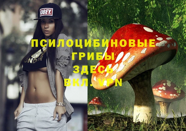 экстази Богородск