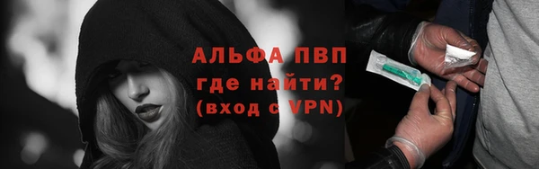 дурь Туринск