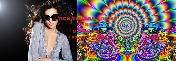 MDMA Богородицк