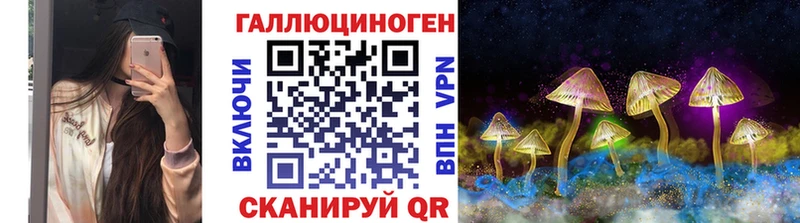 Псилоцибиновые грибы Psilocybe  наркошоп  Краснознаменск 